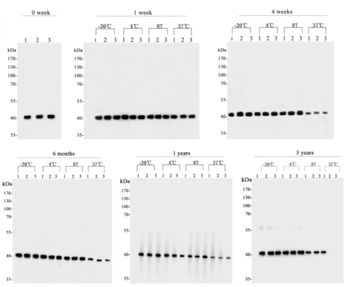 Screen Shot 2023-11-08 at 9.22.23 AM