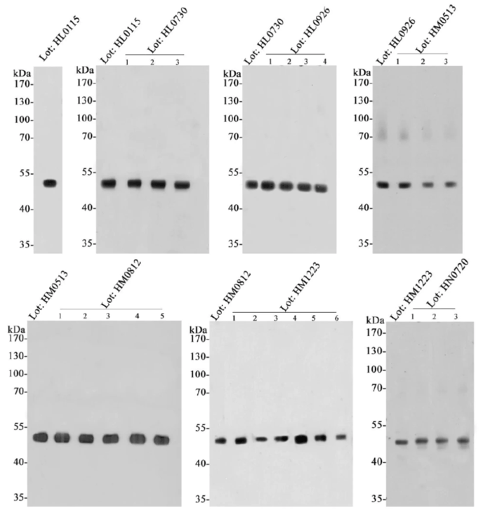 Screen Shot 2023-11-08 at 9.23.27 AM